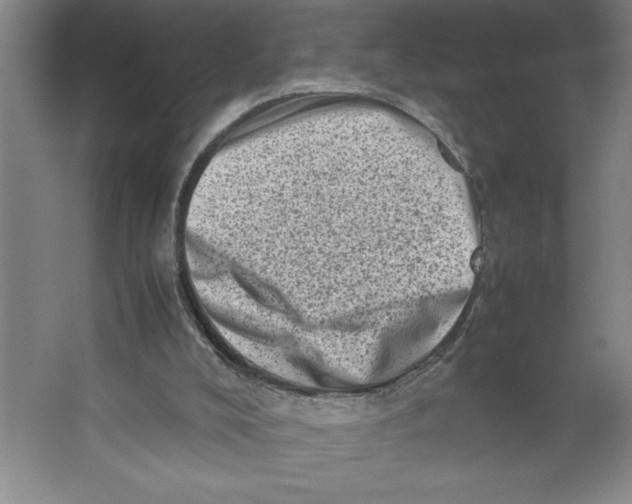 X0000062130008200512301513