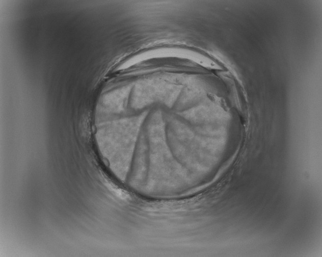 X0000062130009200512301513