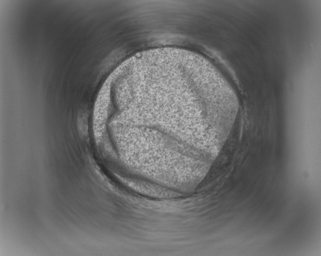 X0000062130010200512301513