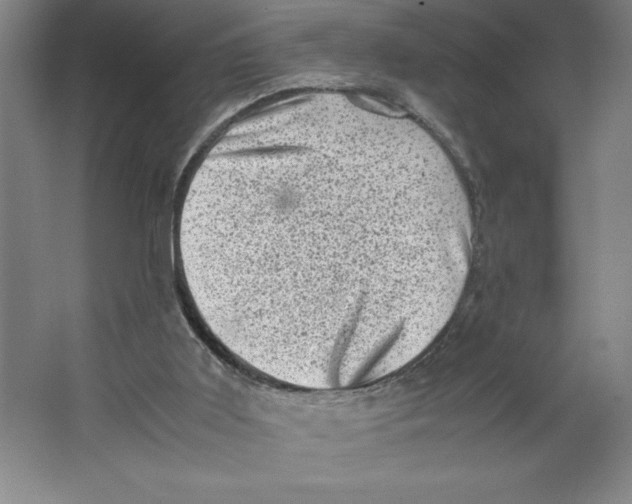 X0000062130011200512301513