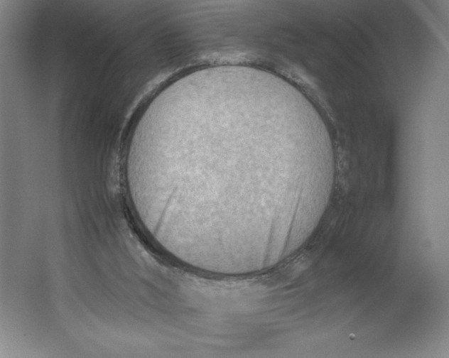 X0000062130012200512301513