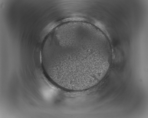 X0000062130013200512301513