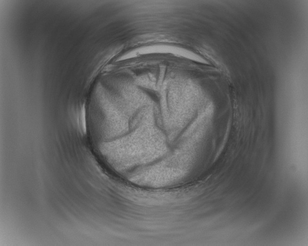 X0000062130014200512301513