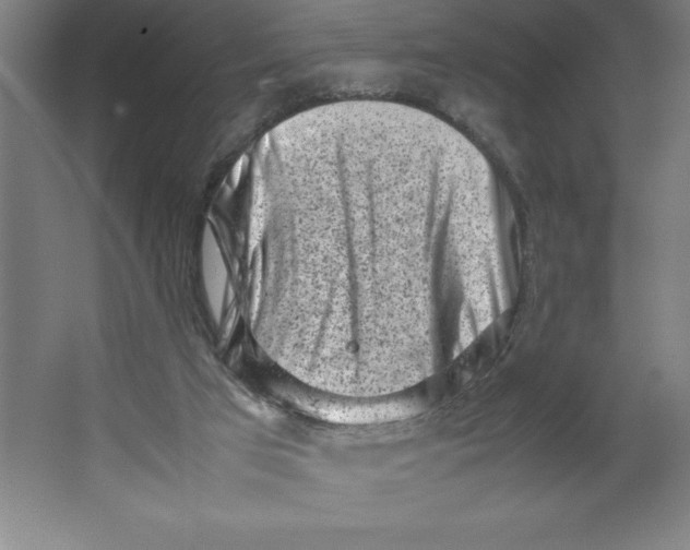 X0000062130017200512301513