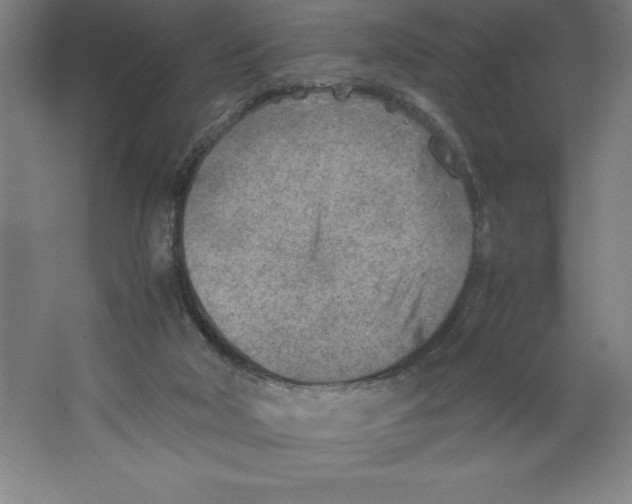 X0000062130018200512301513