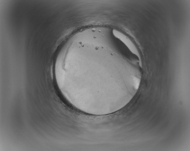 X0000062130019200512301513