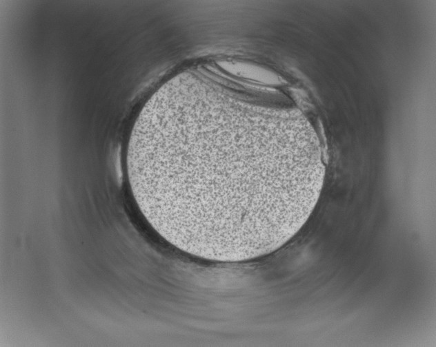 X0000062130020200512301513