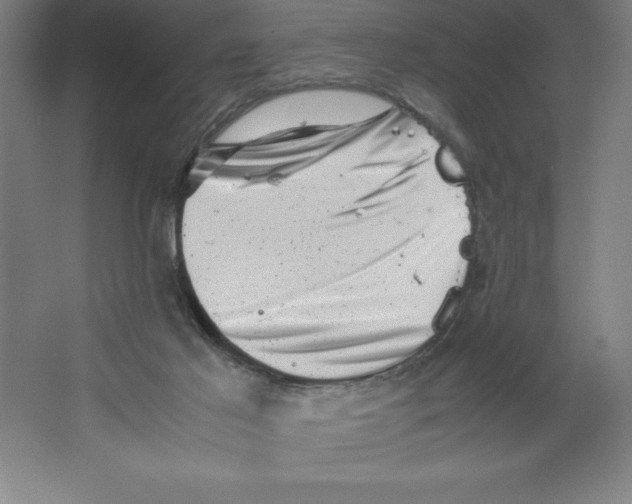 X0000062130021200512301513