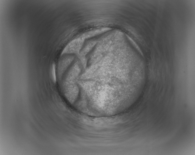 X0000062130022200512301513