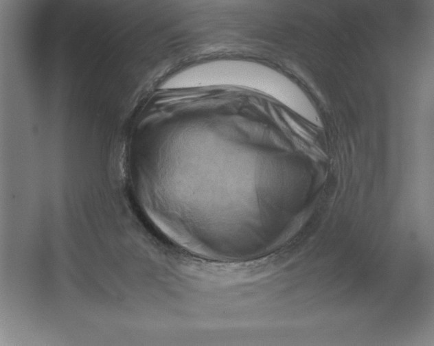 X0000062130023200512301513