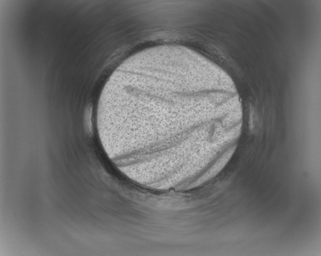 X0000062130024200512301513