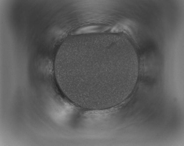 X0000062130025200512301513