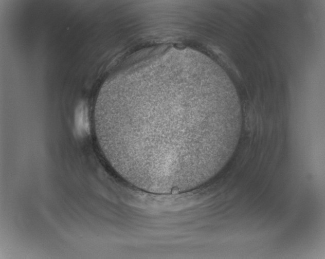 X0000062130026200512301513