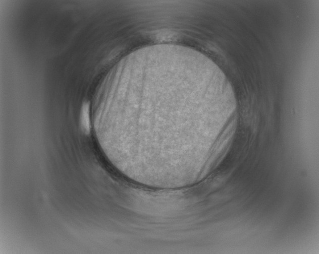 X0000062130028200512301513