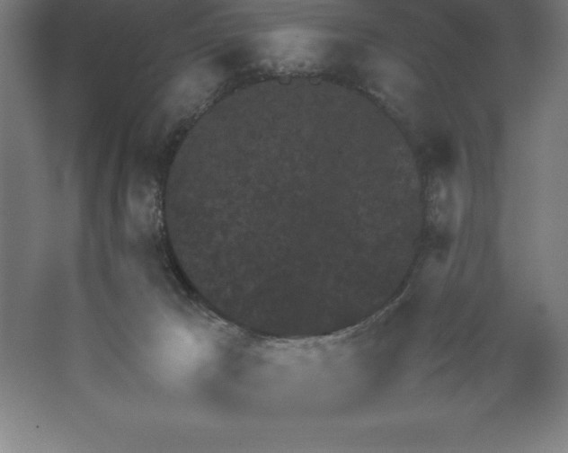 X0000062130029200512301513