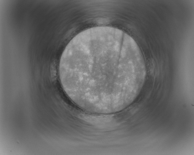 X0000062130032200512301513