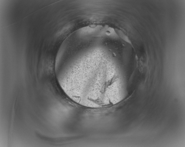 X0000062130033200512301513