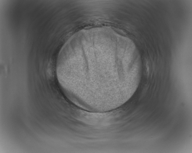 X0000062130034200512301513