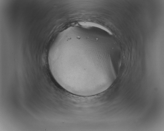 X0000062130035200512301513