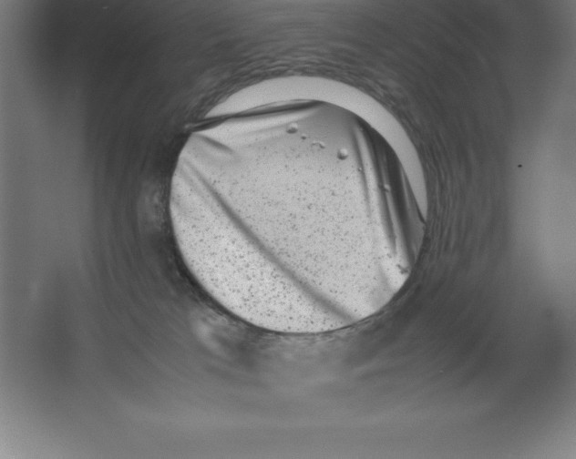 X0000062130037200512301513