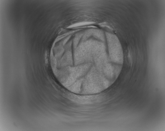 X0000062130038200512301513