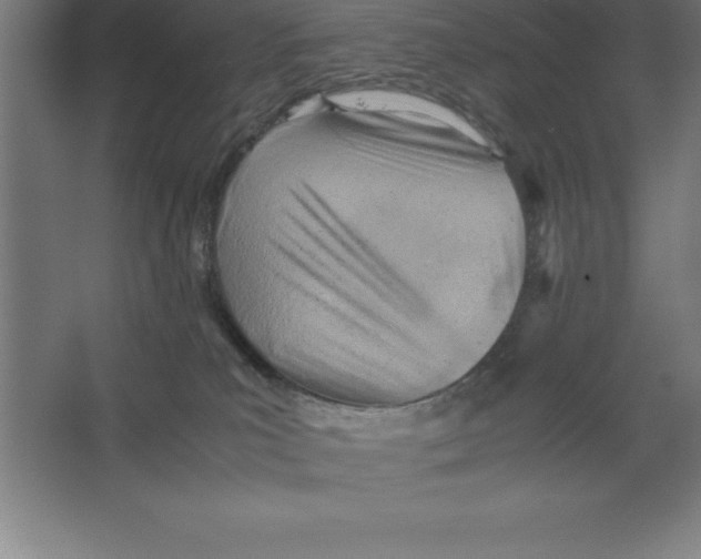 X0000062130039200512301513