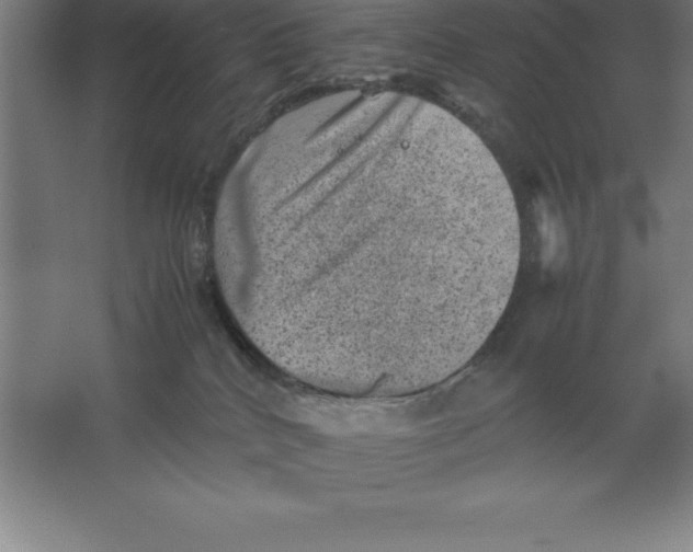 X0000062130040200512301513