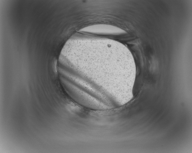 X0000062130041200512301513