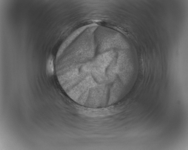 X0000062130042200512301513