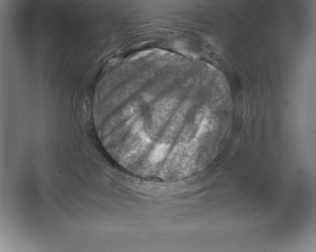 X0000062130043200512301513