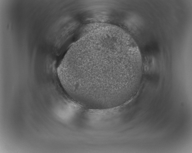 X0000062130045200512301513