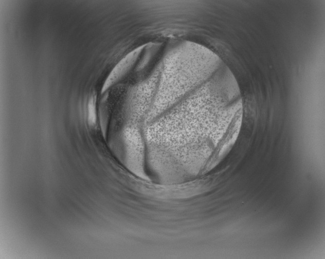 X0000062130046200512301513