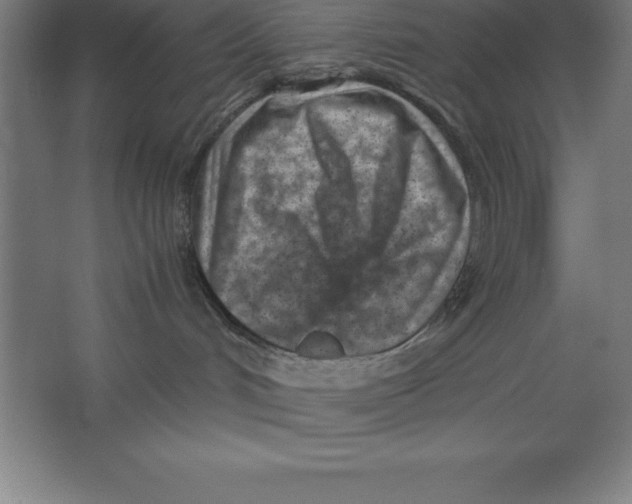 X0000062130048200512301512