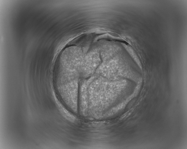 X0000062130049200512301512