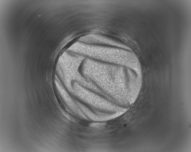 X0000062130051200512301512