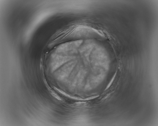 X0000062130052200512301512