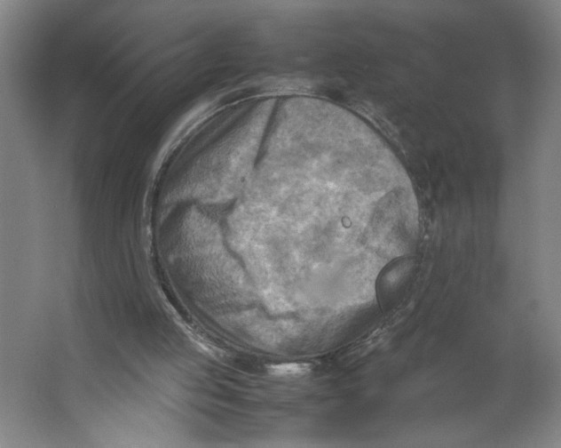 X0000062130053200512301512