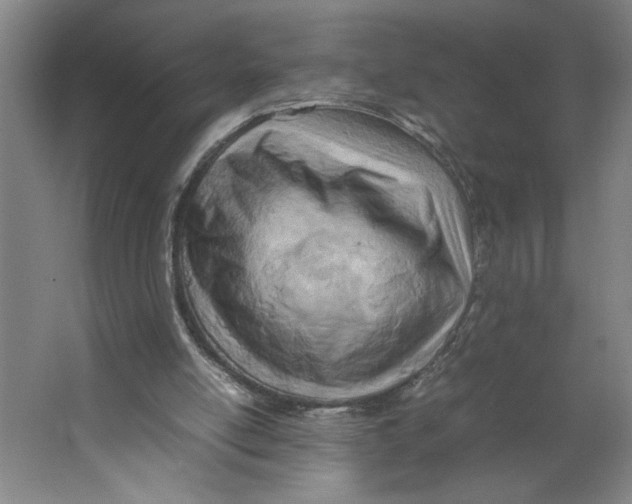 X0000062130054200512301512