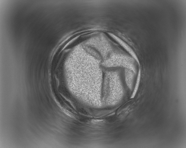 X0000062130055200512301512