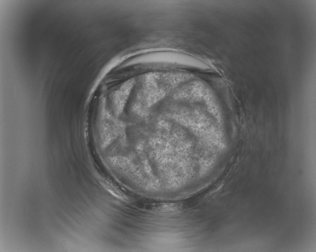 X0000062130056200512301512