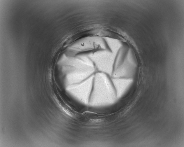 X0000062130057200512301512