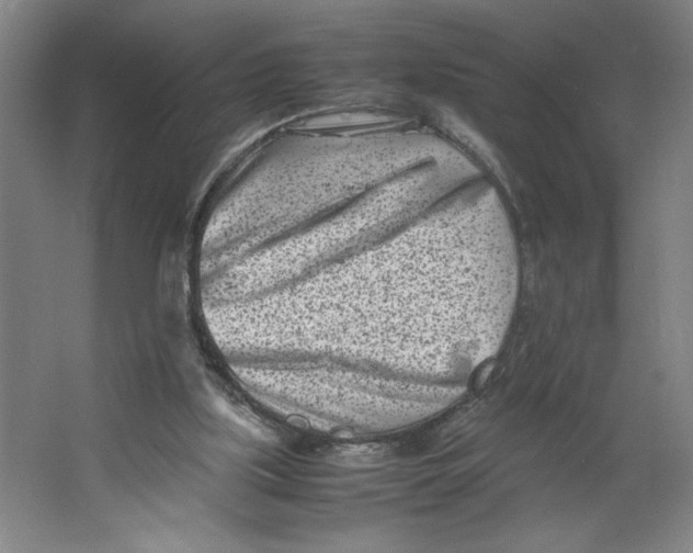 X0000062130059200512301512