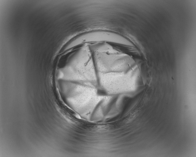 X0000062130060200512301512