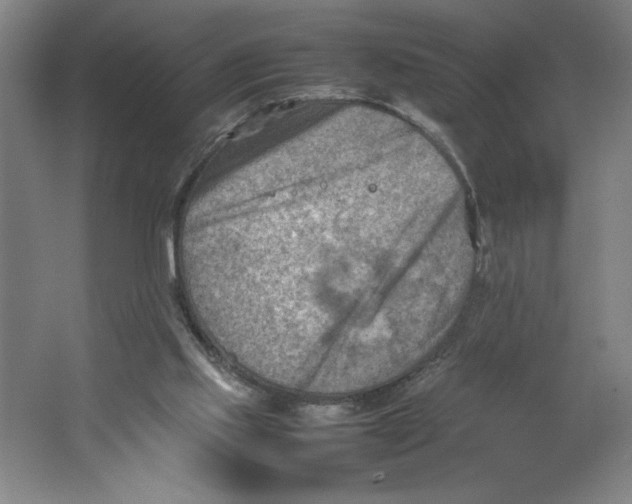 X0000062130061200512301512