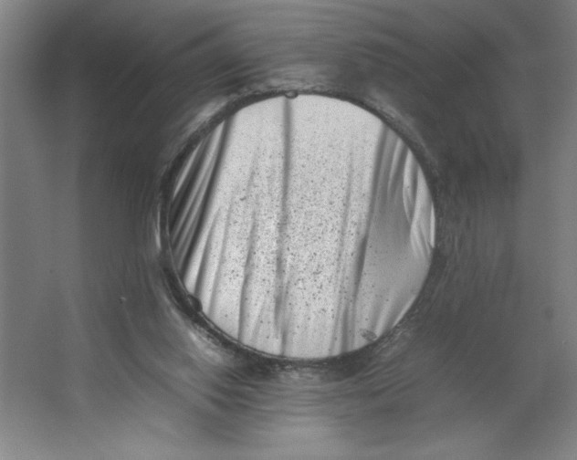 X0000062130062200512301512