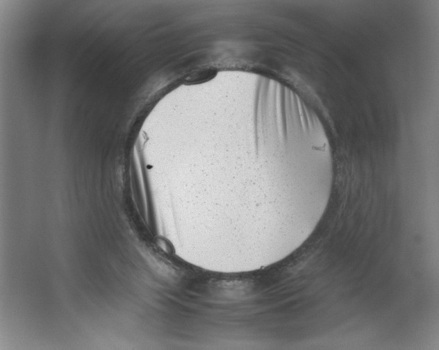 X0000062130063200512301512