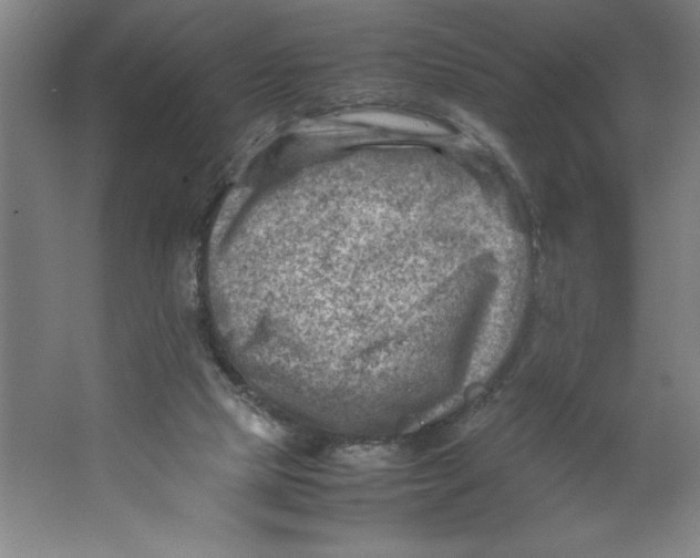 X0000062130065200512301512