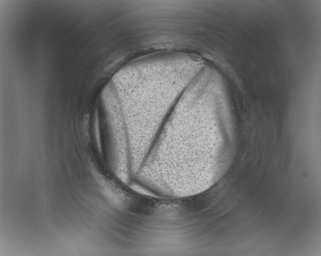 X0000062130066200512301512