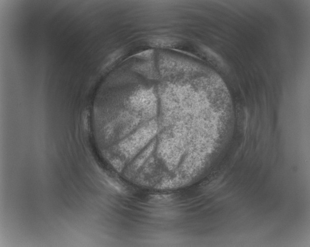 X0000062130071200512301512