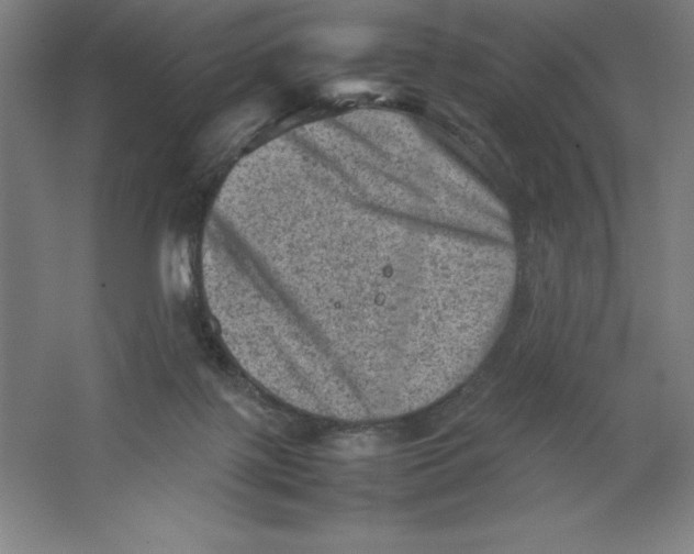 X0000062130075200512301512